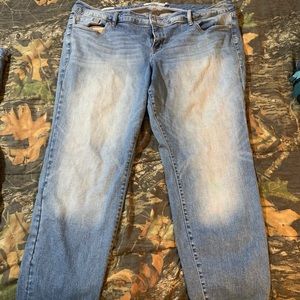 Torrid boyfriend Jean 22